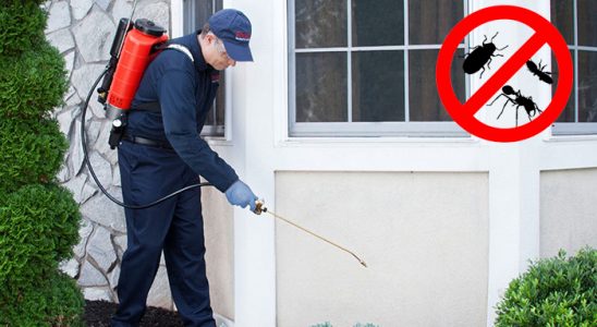 Başyayla Bit İlaçlama böcek ilaçlama ve haşere kontrolü — ilaclama-tr.com